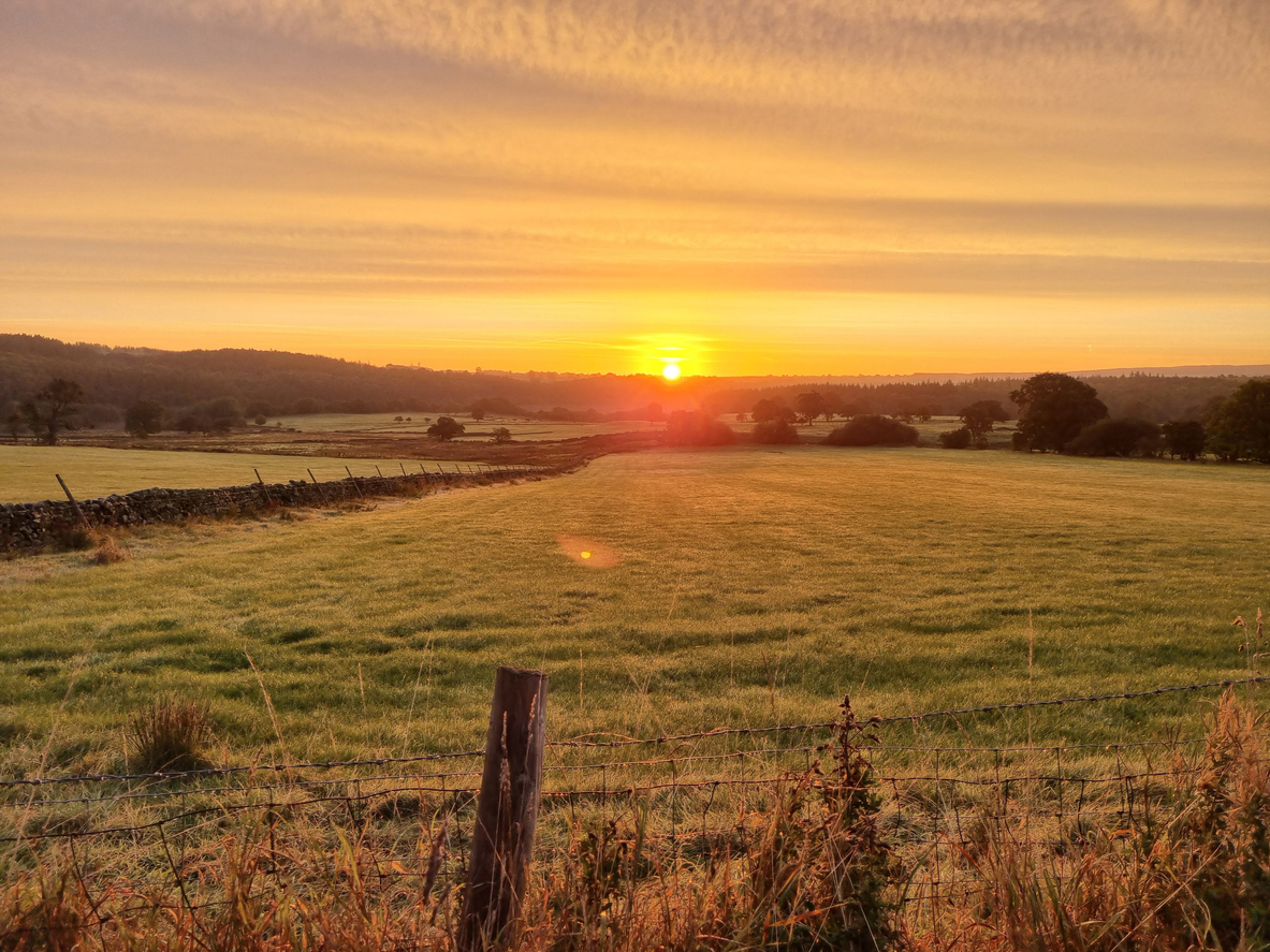 AI and the Rise of Fractional Work: Why the Future of Growth Is On-Demand